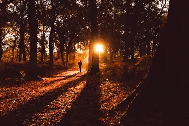 Cultural Identity & Women's Issues